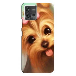Чехол (ТПУ) Милые собачки для Motorola MOTO G72 (Йоршенский терьер)