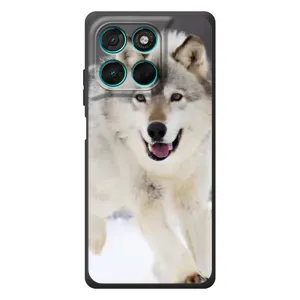 Чехол с Волком на Motorola Moto G77 (Волк на снегу)