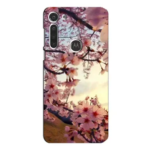 Чехол с принтом САКУРЫ на Motorola MOTO G8 (Цветущая сакура)