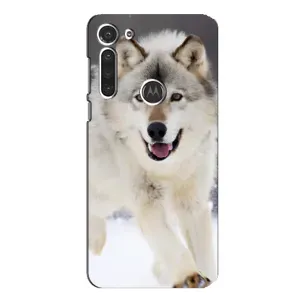 Чехол с Волком на Motorola MOTO G8 (Волк на снегу)