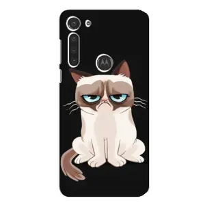Чехол на тематику: Коты для Motorola MOTO G8 (Взгляд кота)