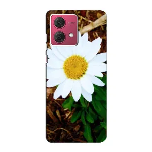 Чехол с ромашками на Motorola MOTO G84 (Белая ромашка)