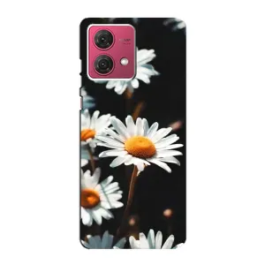 Чехол с ромашками на Motorola MOTO G84 (Белые ромашки)