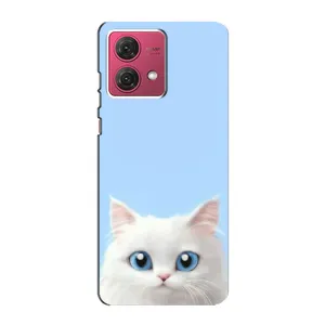 Чехол на тематику: Коты для Motorola MOTO G84 (Белый кот)