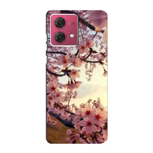 Чехол с принтом САКУРЫ на Motorola MOTO G84 (Цветущая сакура)