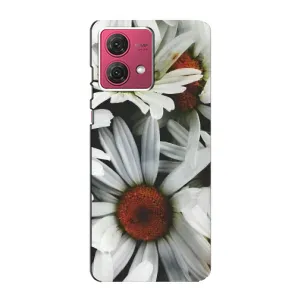 Чехол с ромашками на Motorola MOTO G84 (Цветы Ромашки)