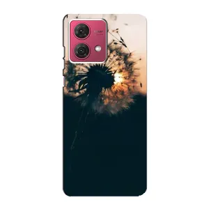 Силиконовый Чехол с одуванчиками на Motorola MOTO G84 (Красивый одуванчик)