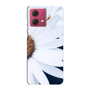 Чехол с ромашками на Motorola MOTO G84 (Пол ромашки)