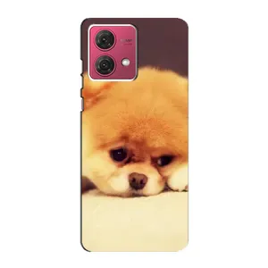 Чехол (ТПУ) Милые собачки для Motorola MOTO G84 (Померанский шпиц)