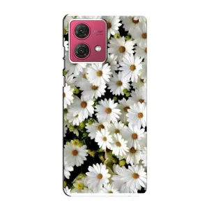 Чехол с ромашками на Motorola MOTO G84 (Рамка в ромашках)