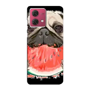 Чехол (ТПУ) Милые собачки для Motorola MOTO G84 (Смешной Мопс)