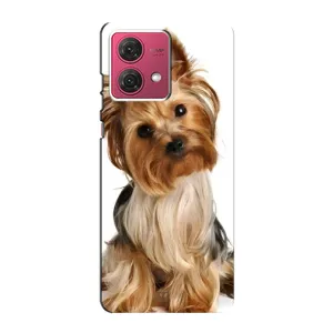 Чехол (ТПУ) Милые собачки для Motorola MOTO G84 (Собака Терьер)