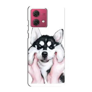 Бампер для Motorola MOTO G84 с картинкой "Песики" (Собака Хаски)