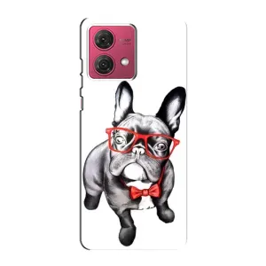 Бампер для Motorola MOTO G84 с картинкой "Песики" (В очках)