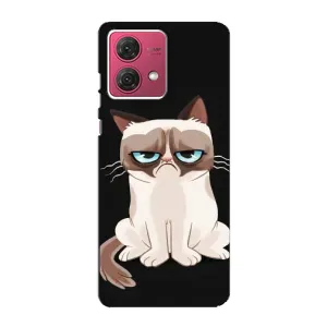 Чехол на тематику: Коты для Motorola MOTO G84 (Взгляд кота)