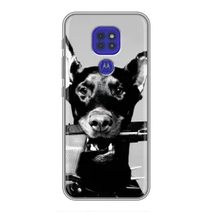 Чехол ДОБЕРМАН для Motorola MOTO G9 Play (Опасный доберман)