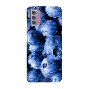 Чехол с изображением вкусной еды для Nokia G42 (Голубика)