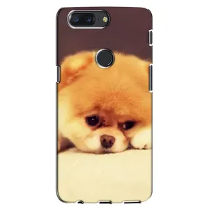 Чохол (ТПУ) Милі песики для One Plus 5T (Померанский шпіц)