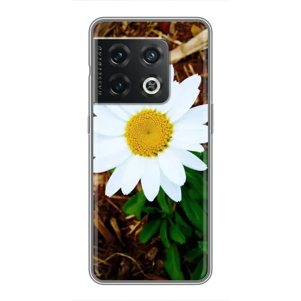 Чехол с рисунком «Белая ромашка» для OnePlus 10 Pro Чехол с рисунком «Белая ромашка» для OnePlus 10 Pro