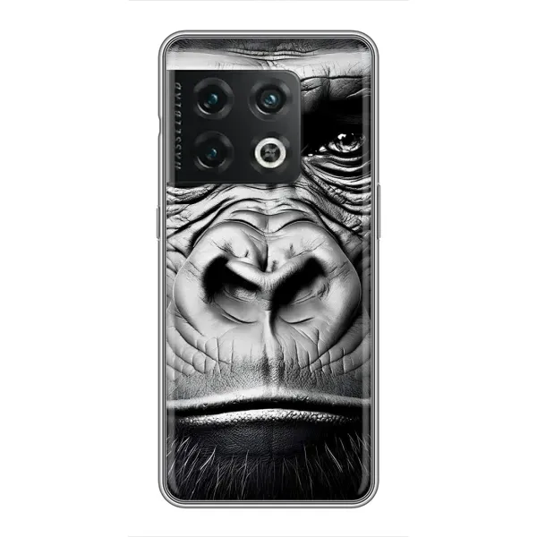 Чехол с рисунком «Черная обезьяна» для OnePlus 10 Pro