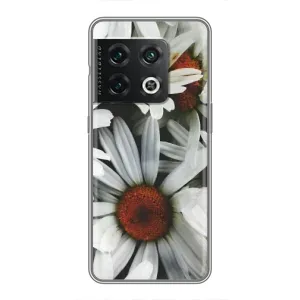 Чехол с ромашками на OnePlus 10 Pro (Цветы Ромашки)