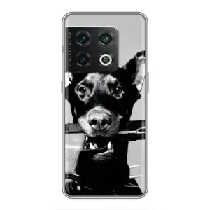 Чохол ДОБЕРМАН для OnePlus 10 Pro (Небезпечний доберман)
