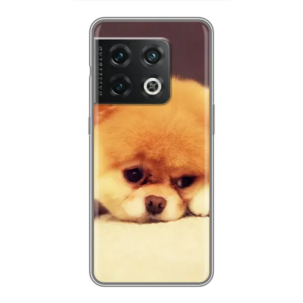 Чехол с рисунком «Померанский шпиц» для OnePlus 10 Pro Чехол с рисунком «Померанский шпиц» для OnePlus 10 Pro