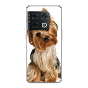 Чохол (ТПУ) Милі песики для OnePlus 10 Pro (Пес Терьєр)
