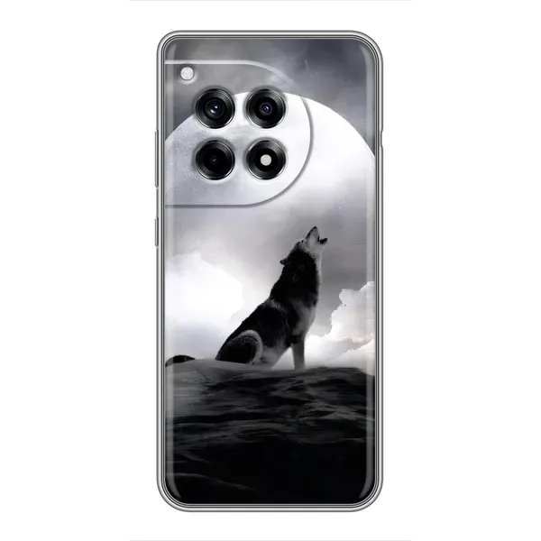 Чехол с рисунком «Волк и луна» для OnePlus 12 Pro Чехол с рисунком «Волк и луна» для OnePlus 12 Pro