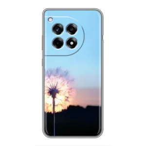 Силиконовый Чехол с одуванчиками на OnePlus 12 Pro (Закат с одуванчиком)