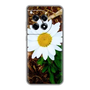 Чехол с ромашками на OnePlus 12R (Белая ромашка)