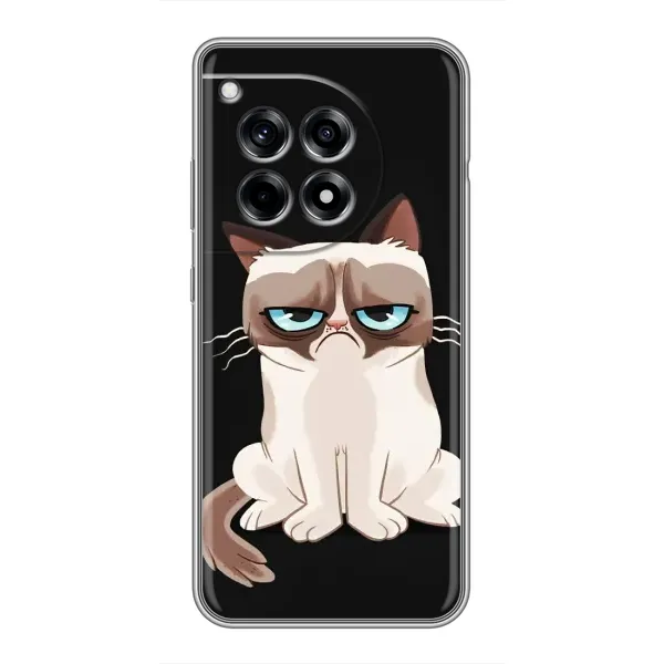 Чехол с рисунком «Взгляд кота» для OnePlus 12R Чехол с рисунком «Взгляд кота» для OnePlus 12R