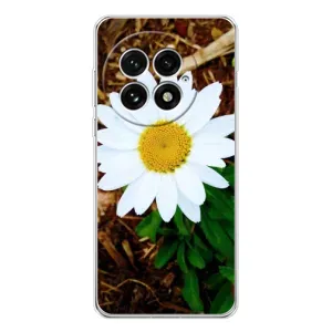 Чехол с ромашками на OnePlus 13 (Белая ромашка)