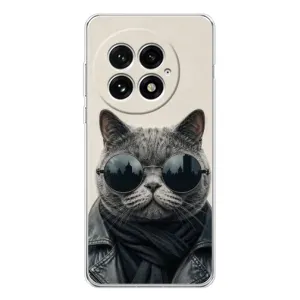 Чехол на тематику: Коты для OnePlus 13 (Модный кот)