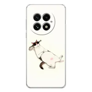 Чехол на тематику: Коты для OnePlus 13 (Отдых)