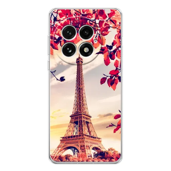 Чехол с рисунком «Paris photo» для OnePlus 13