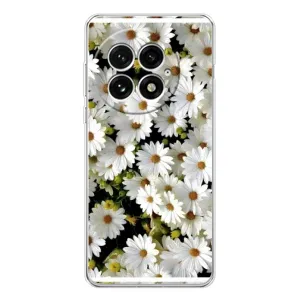 Чехол с ромашками на OnePlus 13 (Рамка в ромашках)