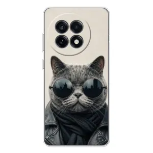 Чохол на тематику: Коти для OnePlus 13R (Модний кіт)