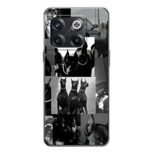 Чехол ДОБЕРМАН для OnePlus 13s (Коллаж Доберман)