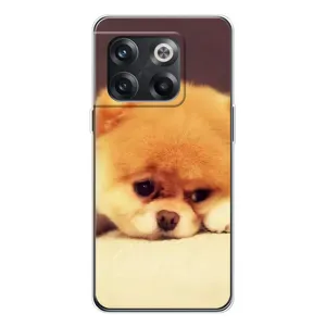 Чехол (ТПУ) Милые собачки для OnePlus 13s (Померанский шпиц)