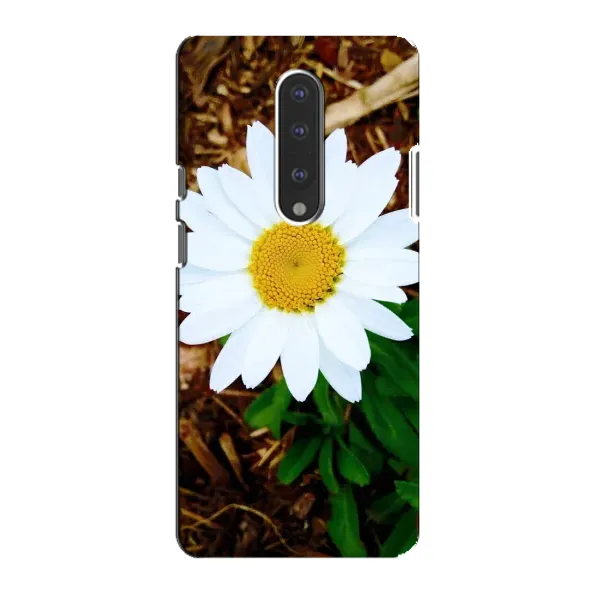 Чехол с рисунком «Белая ромашка» для OnePlus 7 Чехол с рисунком «Белая ромашка» для OnePlus 7