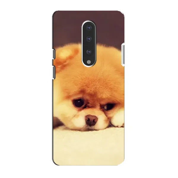 Чехол с рисунком «Померанский шпиц» для OnePlus 7 Чехол с рисунком «Померанский шпиц» для OnePlus 7