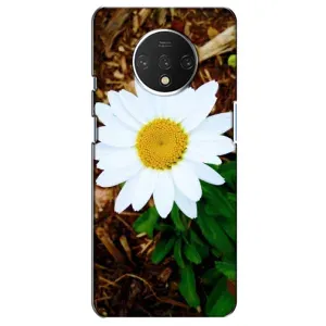 Чохол з ромашками на OnePlus 7T (Біла ромашка)