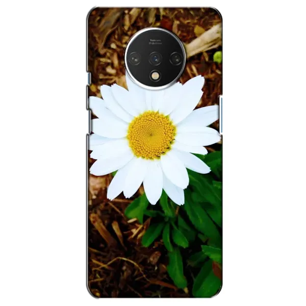 Чехол с рисунком «Белая ромашка» для OnePlus 7T Чехол с рисунком «Белая ромашка» для OnePlus 7T