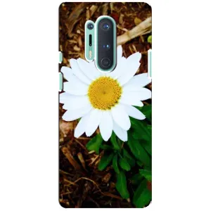 Чохол з ромашками на OnePlus 8 Pro (Біла ромашка)