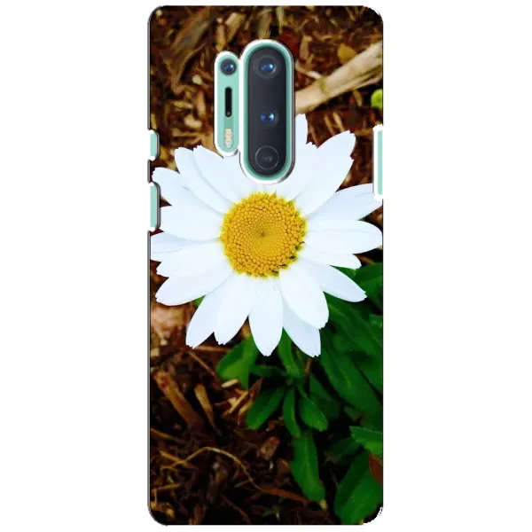 Чохол з малюнком «Біла ромашка» для OnePlus 8 Pro Чохол з малюнком «Біла ромашка» для OnePlus 8 Pro