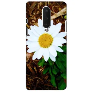Чехол с ромашками на OnePlus 8 (Белая ромашка)