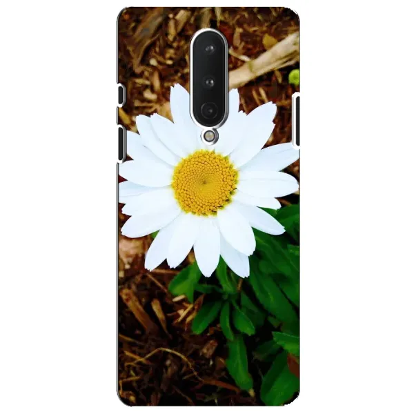 Чохол з малюнком «Біла ромашка» для OnePlus 8 Чохол з малюнком «Біла ромашка» для OnePlus 8