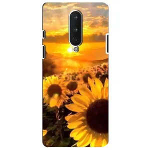 Чехол с Цветами для OnePlus 8 (поле подсолнухов)