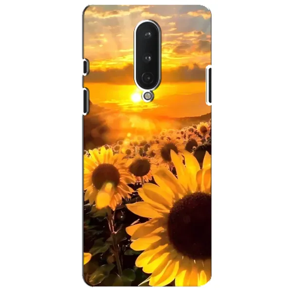 Чехол с рисунком «поле подсолнухов» для OnePlus 8